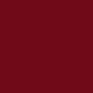 ral_4004