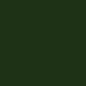 ral_6020