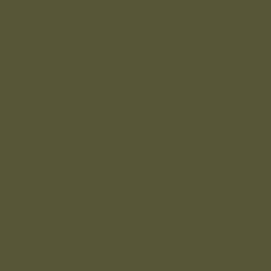 ral_7010